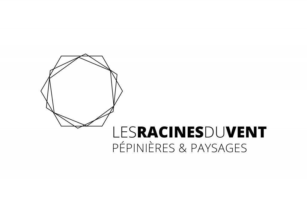 Logotype Les Racines du Vent